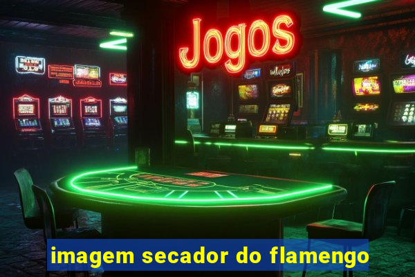 imagem secador do flamengo